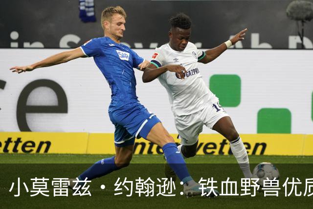 小莫雷兹·约翰逊：铁血野兽优质冠军拼图 开发三分顺位直逼乐透